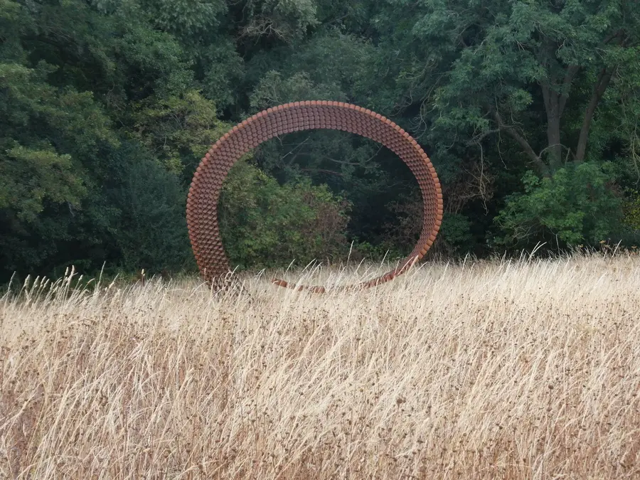 Image 7