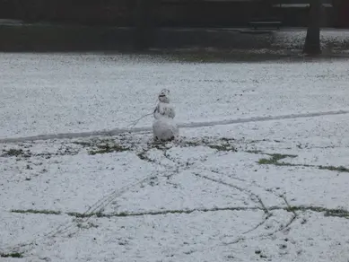 Snowperson