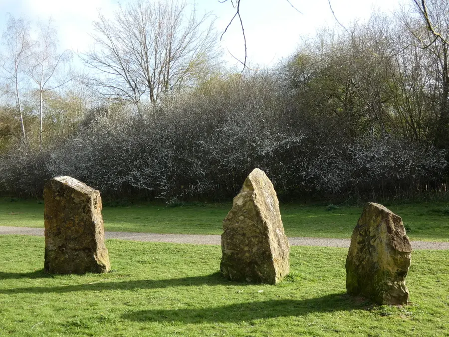 Blackthorn