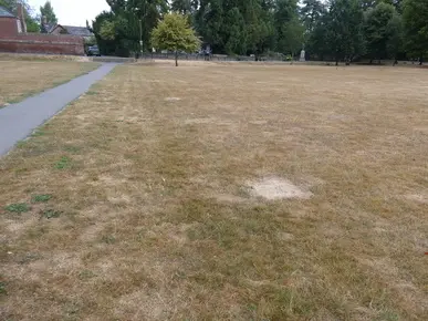 Post Holes