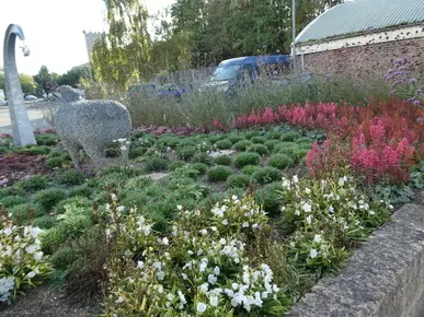 Flower Bed