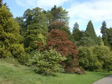 Arboretum