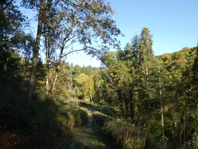 Fish Pool Valley