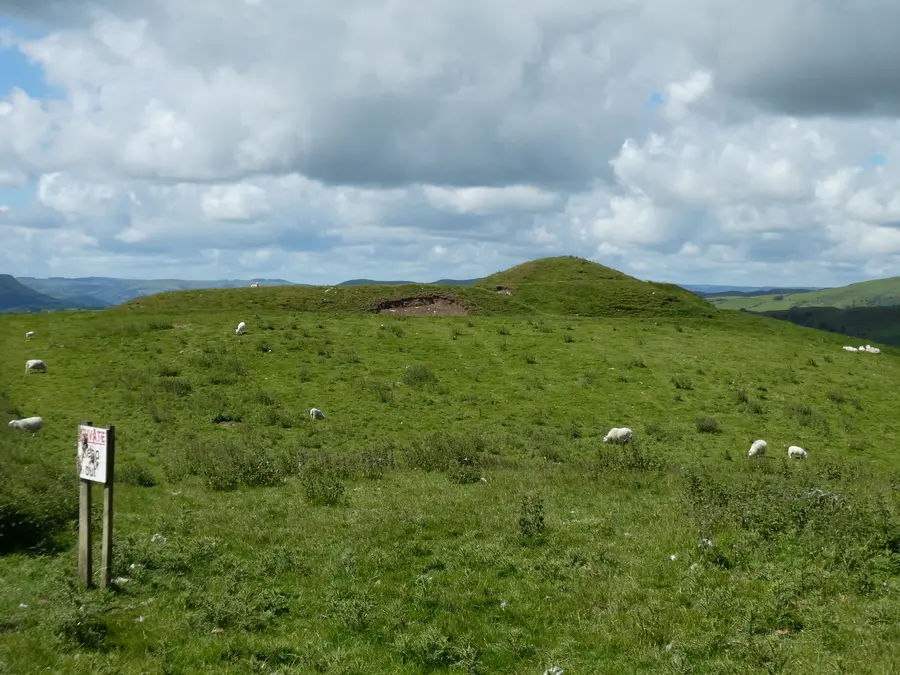 Crug Eryr