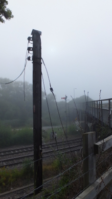 Fog