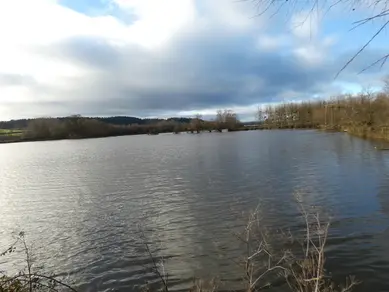 Flooded Field