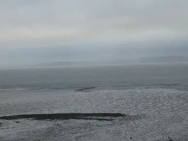 Bay