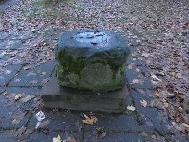 Plague Stone