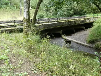 Rheola Aqueduct