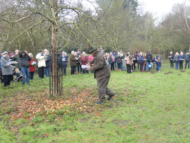 Wassail